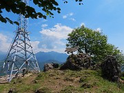 Mi son goduto la peonia dello Zucco e non solo ! – 25magg26 - FOTOGALLERY